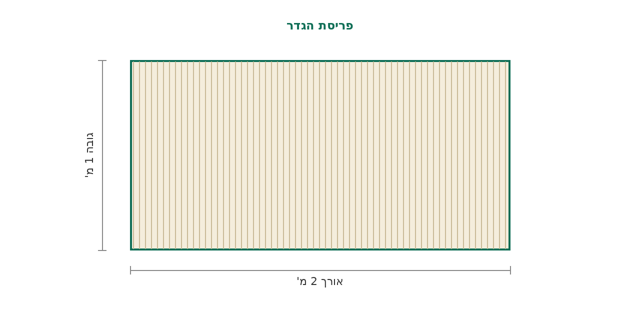 סקיצת מידות