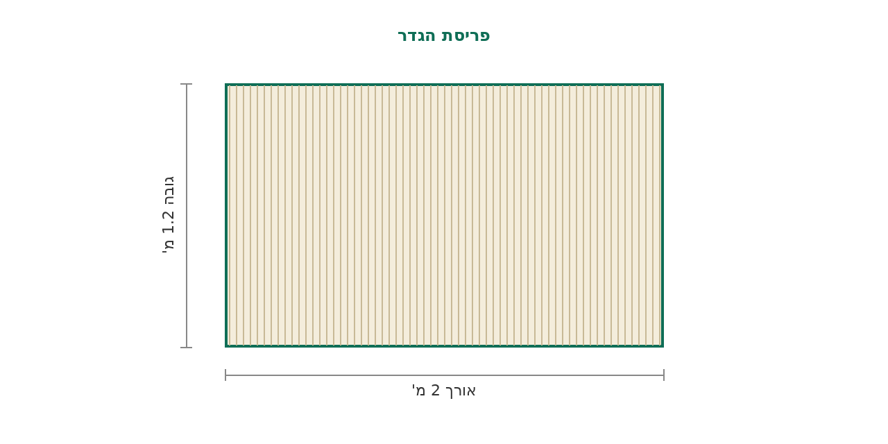 סקיצת מידות
