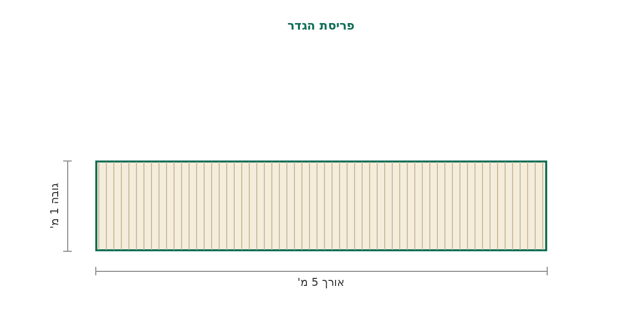 סקיצת מידות