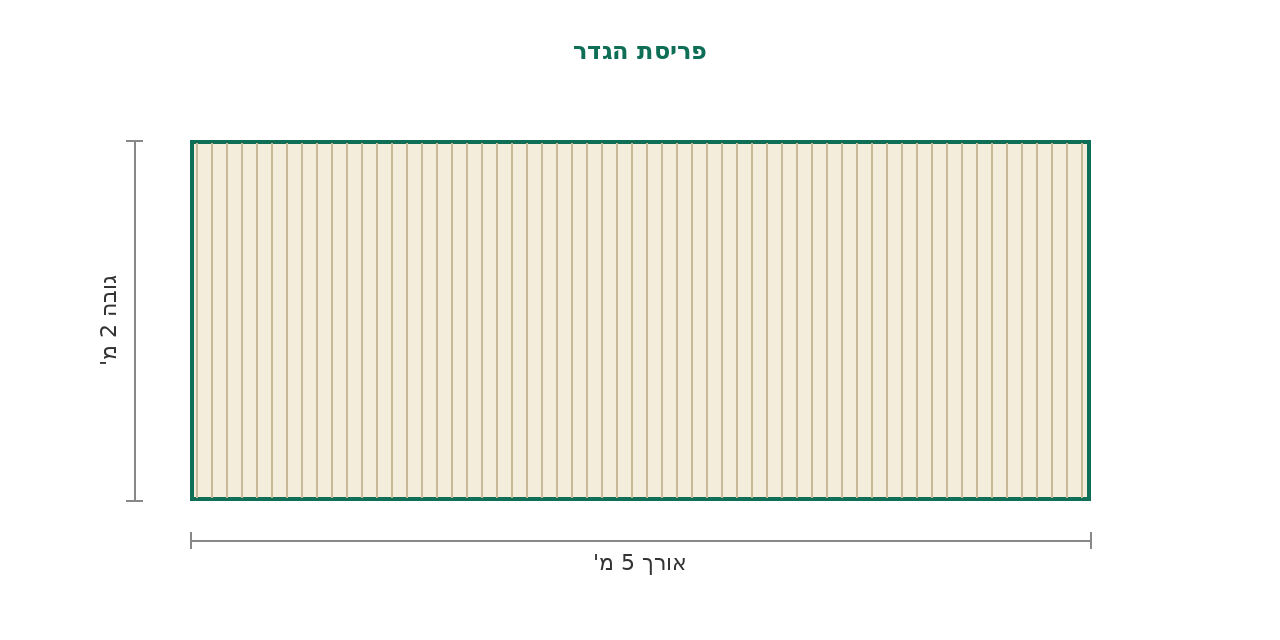 סקיצת מידות