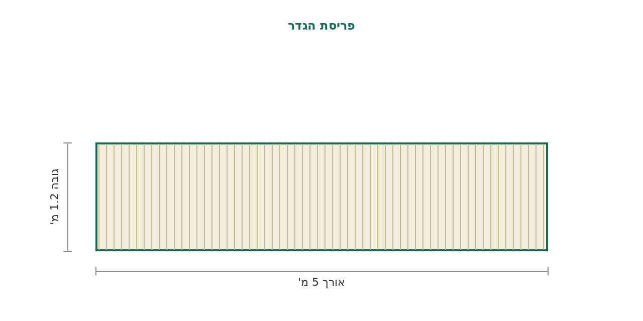 סקיצת מידות