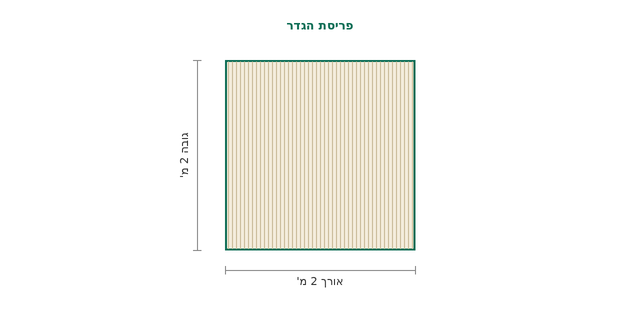 סקיצת מידות