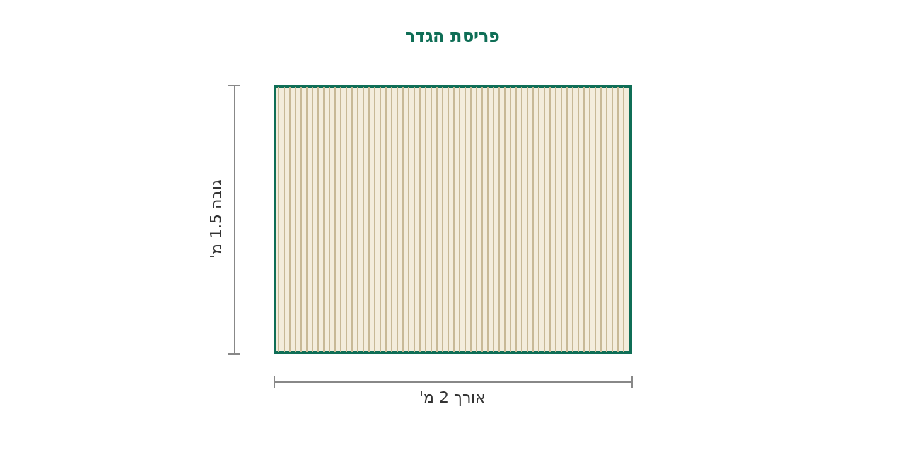 סקיצת מידות